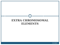 extra chromosoma elements.pdf